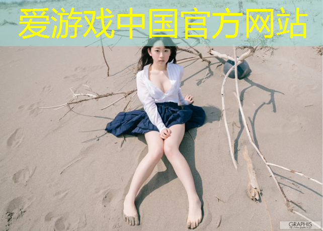 爱游戏AYX体育,男子网球网杆打法