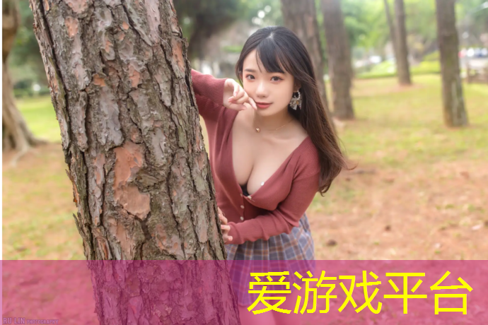 爱游戏中国官方网站,网球网前技巧要点